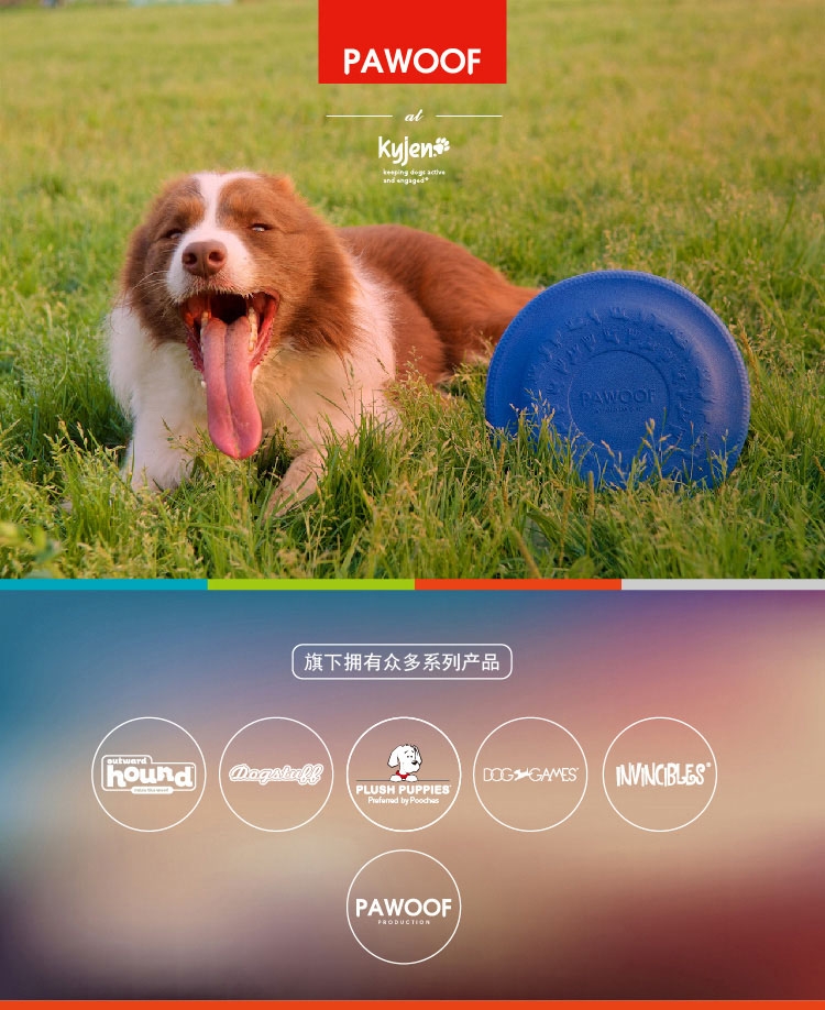 美国酷极Kyjen 爱乐风狗狗飞盘