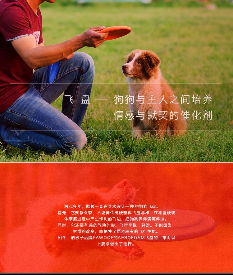 美国酷极Kyjen 爱乐风狗狗飞盘