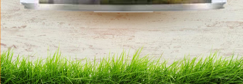 K9 Natural 天然无谷牛肉狗罐头 170g*6罐 90%肉含量 新西兰进口