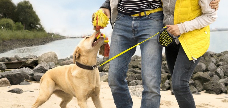 福莱希flexi 荧光黄系列狗狗自动伸缩牵引绳