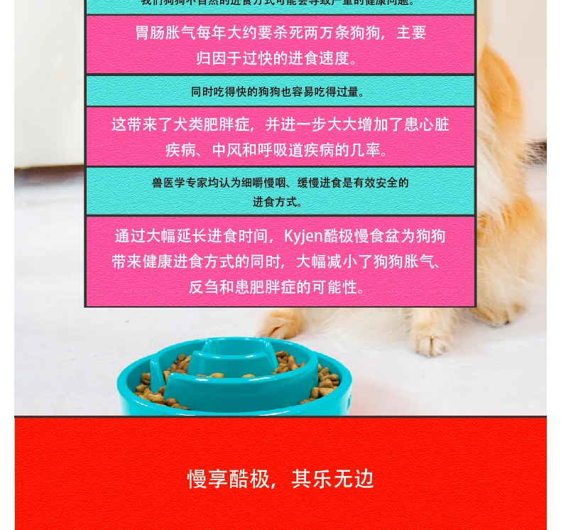 美国酷极Kyjen 益智时尚狗狗慢食碗狗饭碗缓食碗 多规格