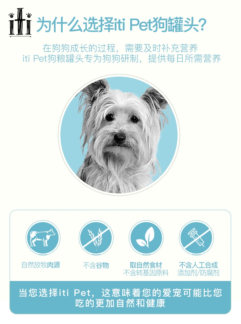 新西兰爱娣iti Pet 牛肉主食狗罐头 175g*6罐 90%含肉量