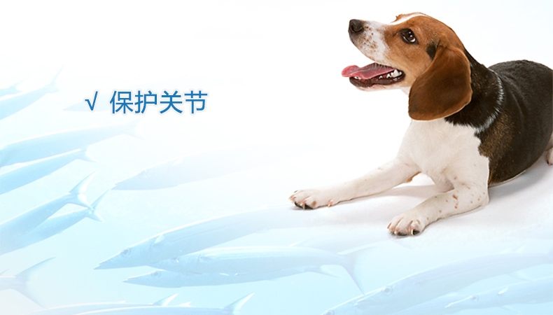 绝魅 犬用鱼油美毛护肤 瓶装60粒