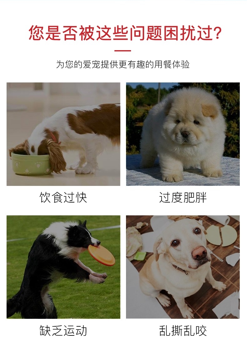 贵为GiGwi 狗狗智食堡智商训练喂食器