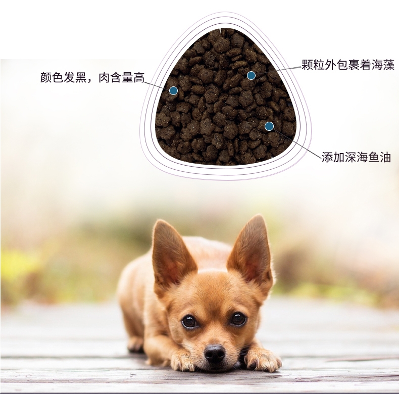 BOTH N3小型犬成犬粮全价犬粮 1.8kg D52