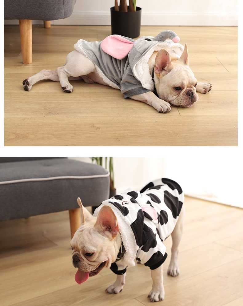 伊丽 大象变身装狗衣服可爱动物变身双脚装 舒适透气 回头率高