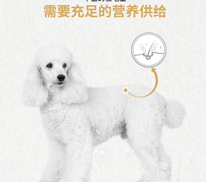 法国皇家Royal Canin 泰迪贵宾专用成犬粮 3kg PD30