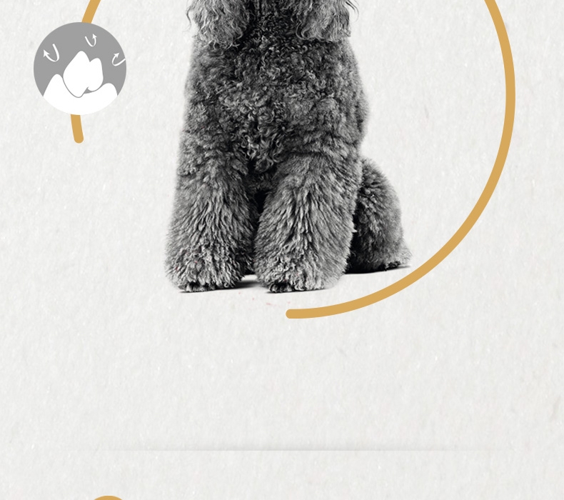 法国皇家Royal Canin 泰迪贵宾专用成犬粮 3kg PD30