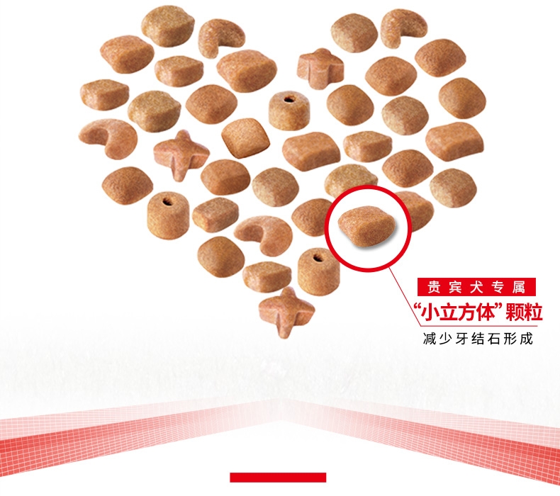 法国皇家Royal Canin 泰迪贵宾专用成犬粮 3kg PD30