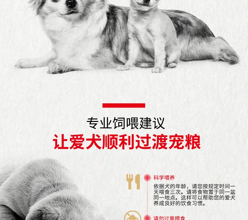 法国皇家Royal Canin 泰迪贵宾专用成犬粮 3kg PD30