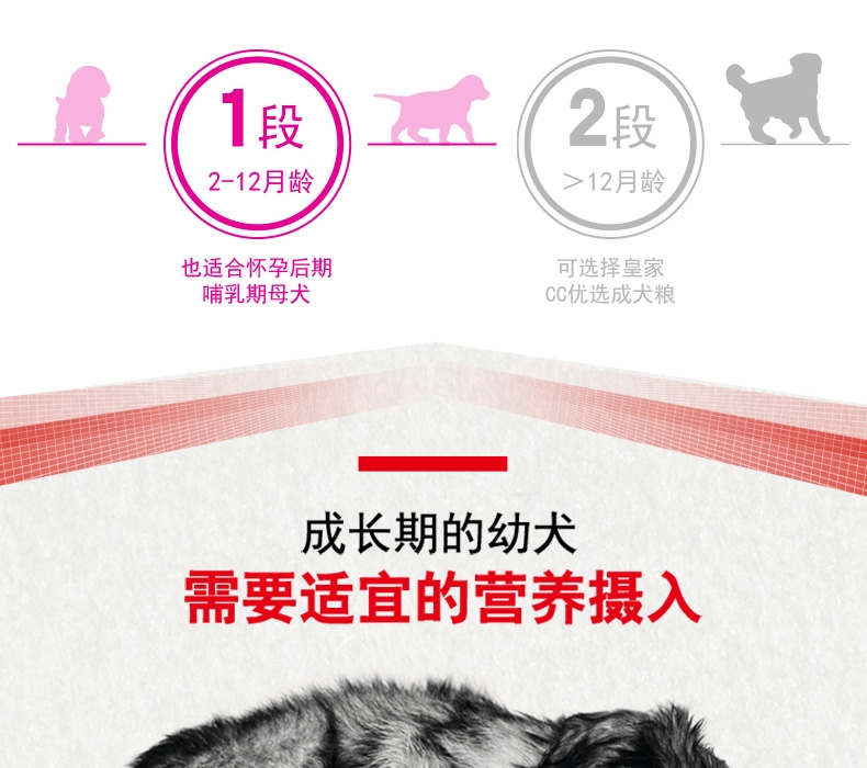 法国皇家Royal Canin A3优选全犬种幼犬粮 8kg
