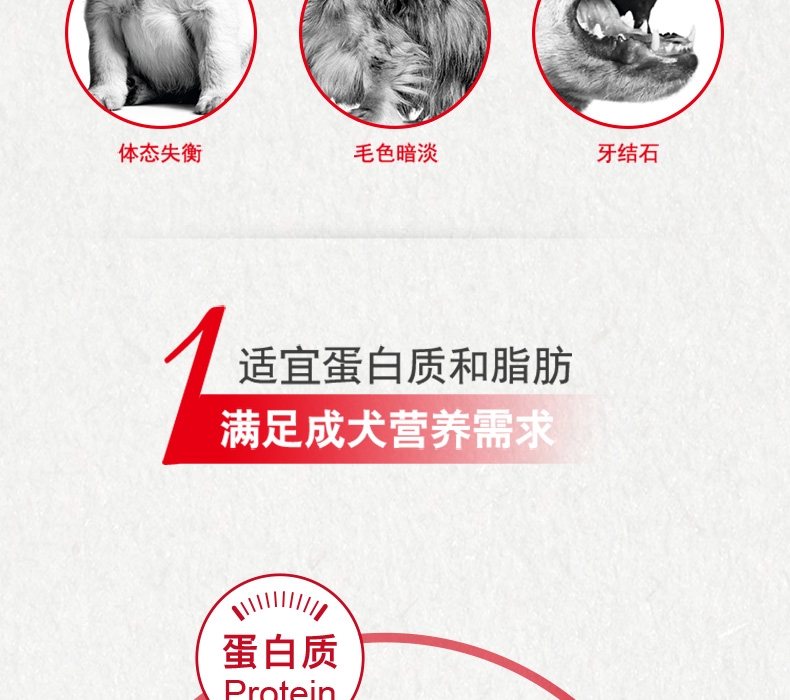 法国皇家Royal Canin CC优选全犬种成犬粮 8kg