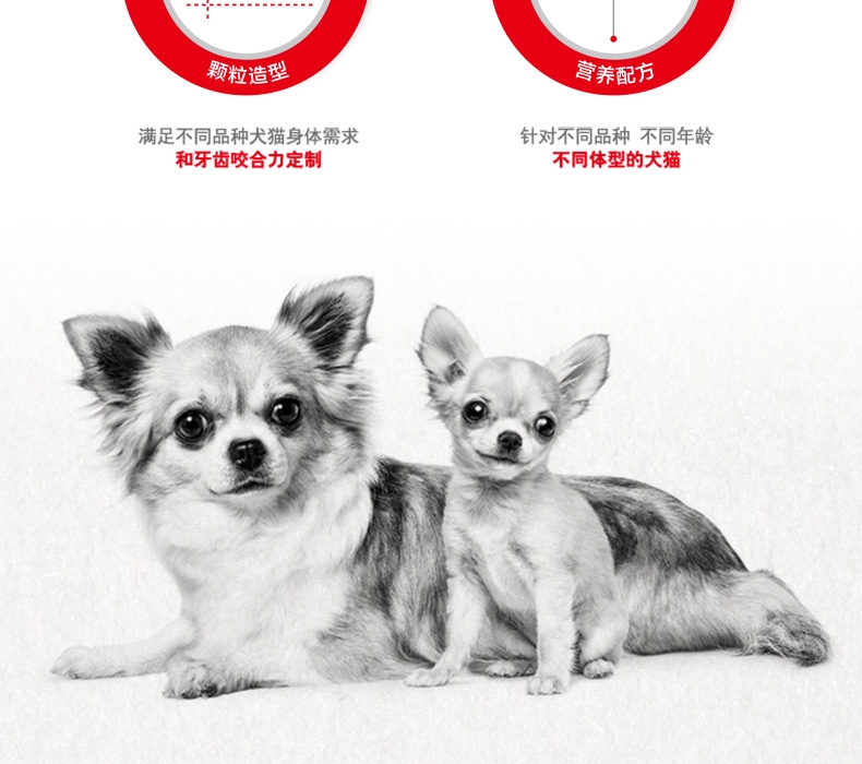 法国皇家Royal Canin CC优选全犬种成犬粮 8kg