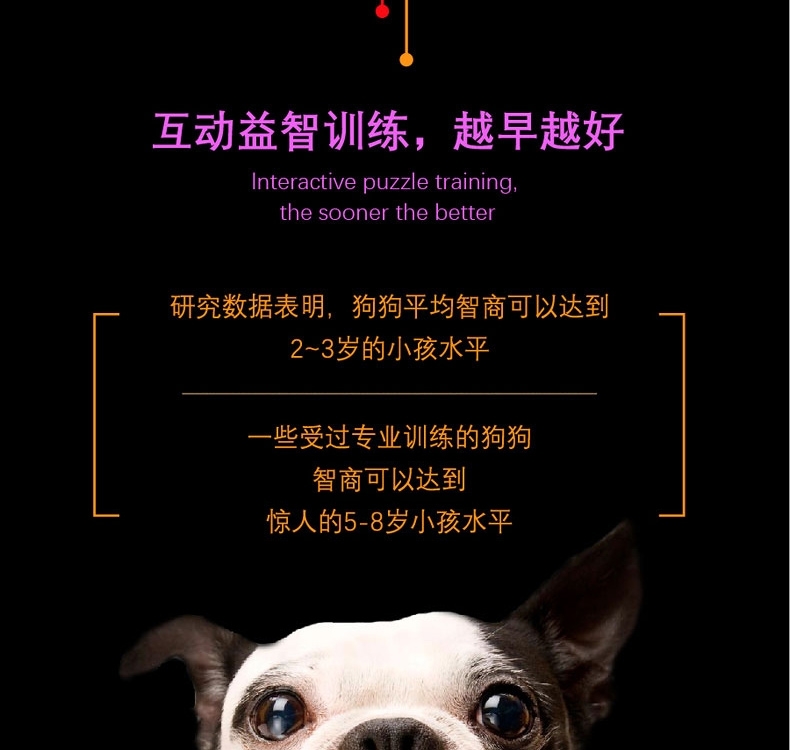 酷极kyjen 七连环益智狗狗玩具