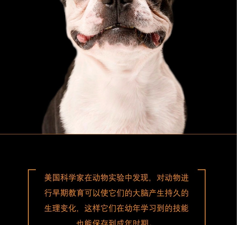 酷极kyjen 七连环益智狗狗玩具