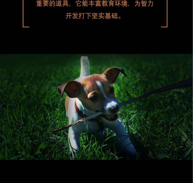 酷极kyjen 七连环益智狗狗玩具