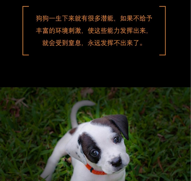 酷极kyjen 七连环益智狗狗玩具