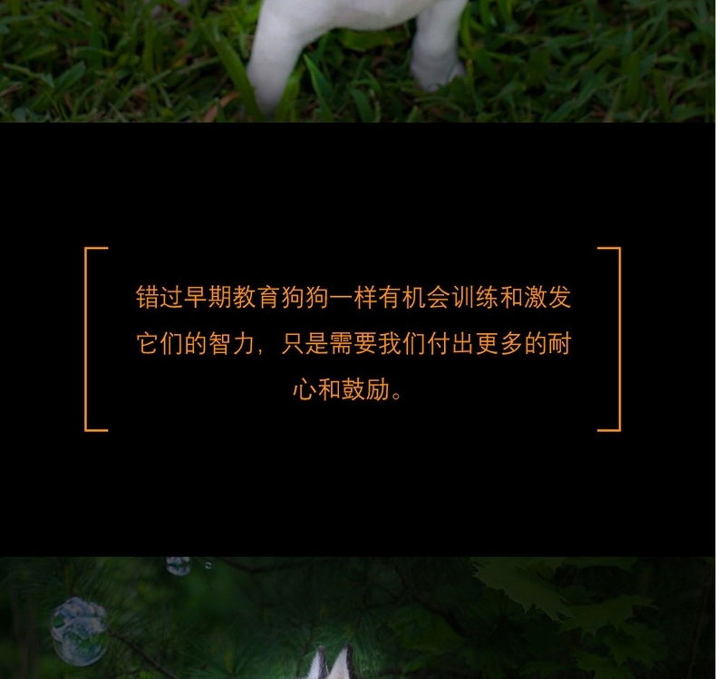酷极kyjen 七连环益智狗狗玩具