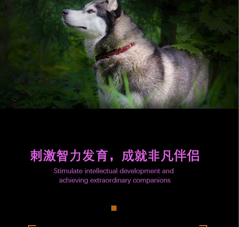 酷极kyjen 七连环益智狗狗玩具