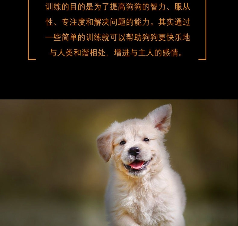 酷极kyjen 七连环益智狗狗玩具