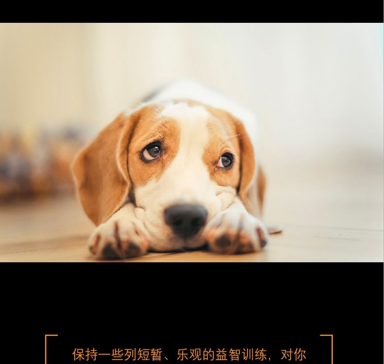 酷极kyjen 七连环益智狗狗玩具