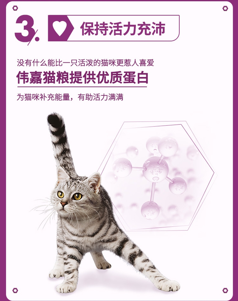 伟嘉 吞拿鱼及三文鱼味成猫粮 3.6kg