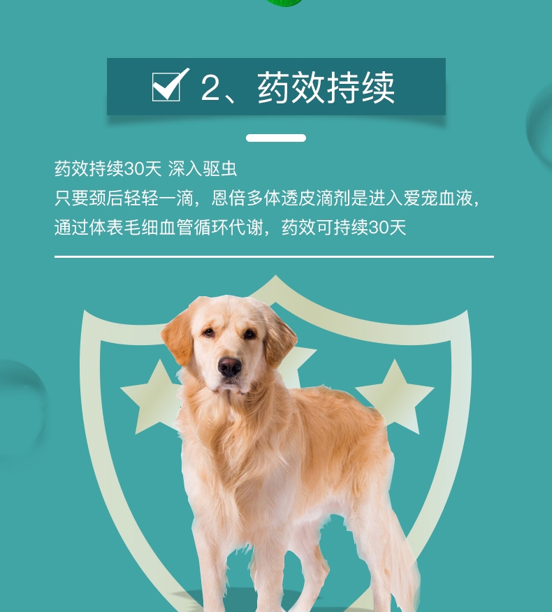 恩倍多 犬用体外驱虫 滴剂 适用15kg-30kg犬  2ml/1个月剂量