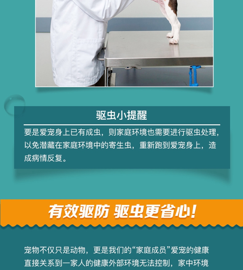恩倍多 犬用体外驱虫 滴剂 适用15kg-30kg犬  2ml/1个月剂量