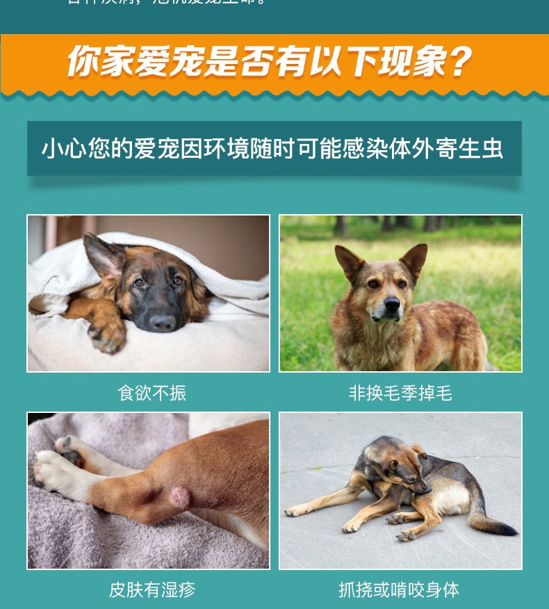 恩倍多 犬用体外驱虫 滴剂 适用15kg-30kg犬  2ml/1个月剂量