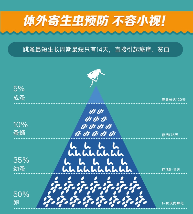 恩倍多 犬用体外驱虫 滴剂 适用15kg-30kg犬  2ml/1个月剂量