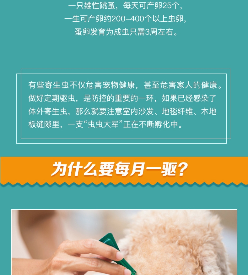 恩倍多 犬用体外驱虫 滴剂 适用15kg-30kg犬  2ml/1个月剂量