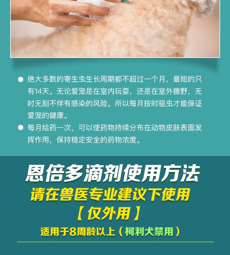 恩倍多 犬用体外驱虫 滴剂 适用15kg-30kg犬  2ml/1个月剂量
