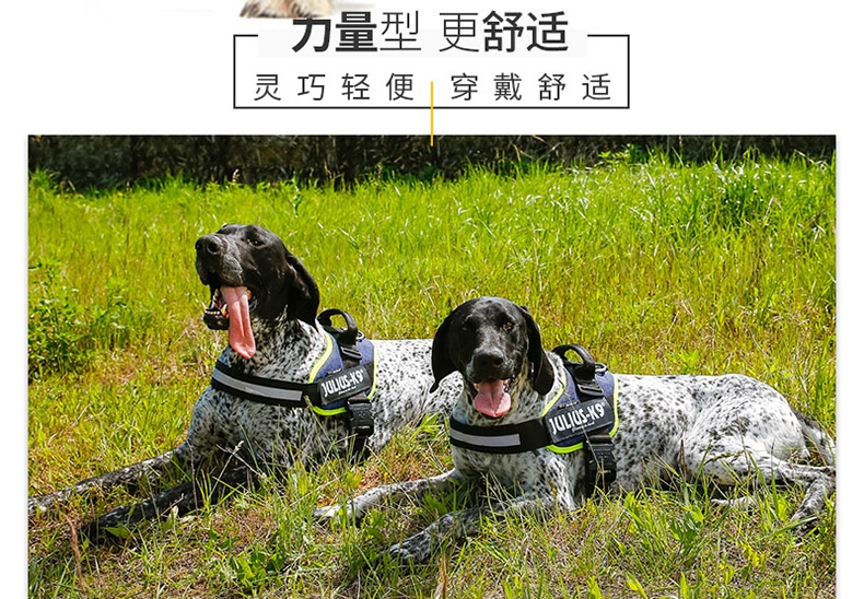 Julius K9 IDC系列 胸背防冲背带 纯色拉风款 欧洲进口