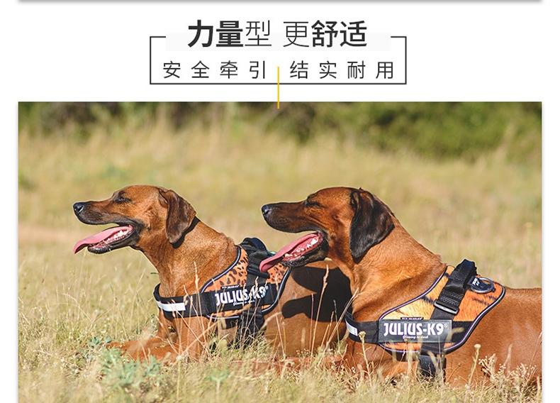Julius K9 IDC系列 胸背防冲背带 纯色拉风款 欧洲进口