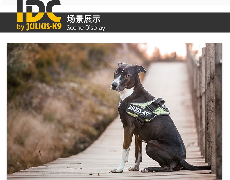 Julius K9 IDC系列 胸背防冲背带 纯色拉风款 欧洲进口