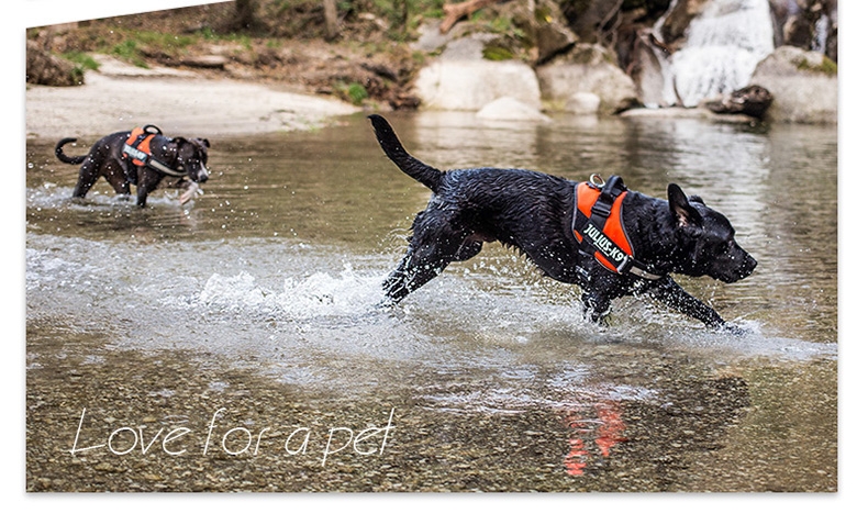 Julius K9 IDC系列 胸背防冲背带 纯色拉风款 欧洲进口