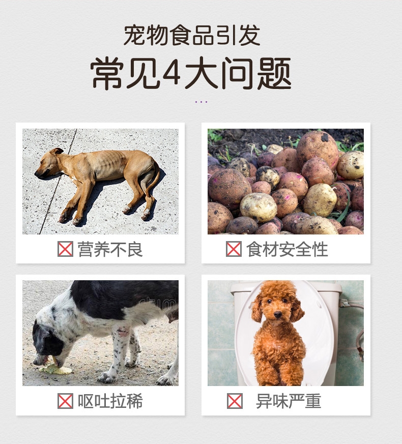 顽皮Wanpy 牛肉口味狗罐头 375g*6罐