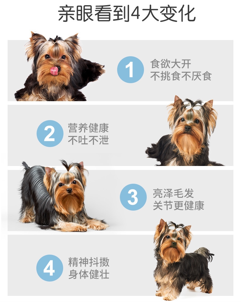 顽皮Wanpy 牛肉口味狗罐头 375g*6罐