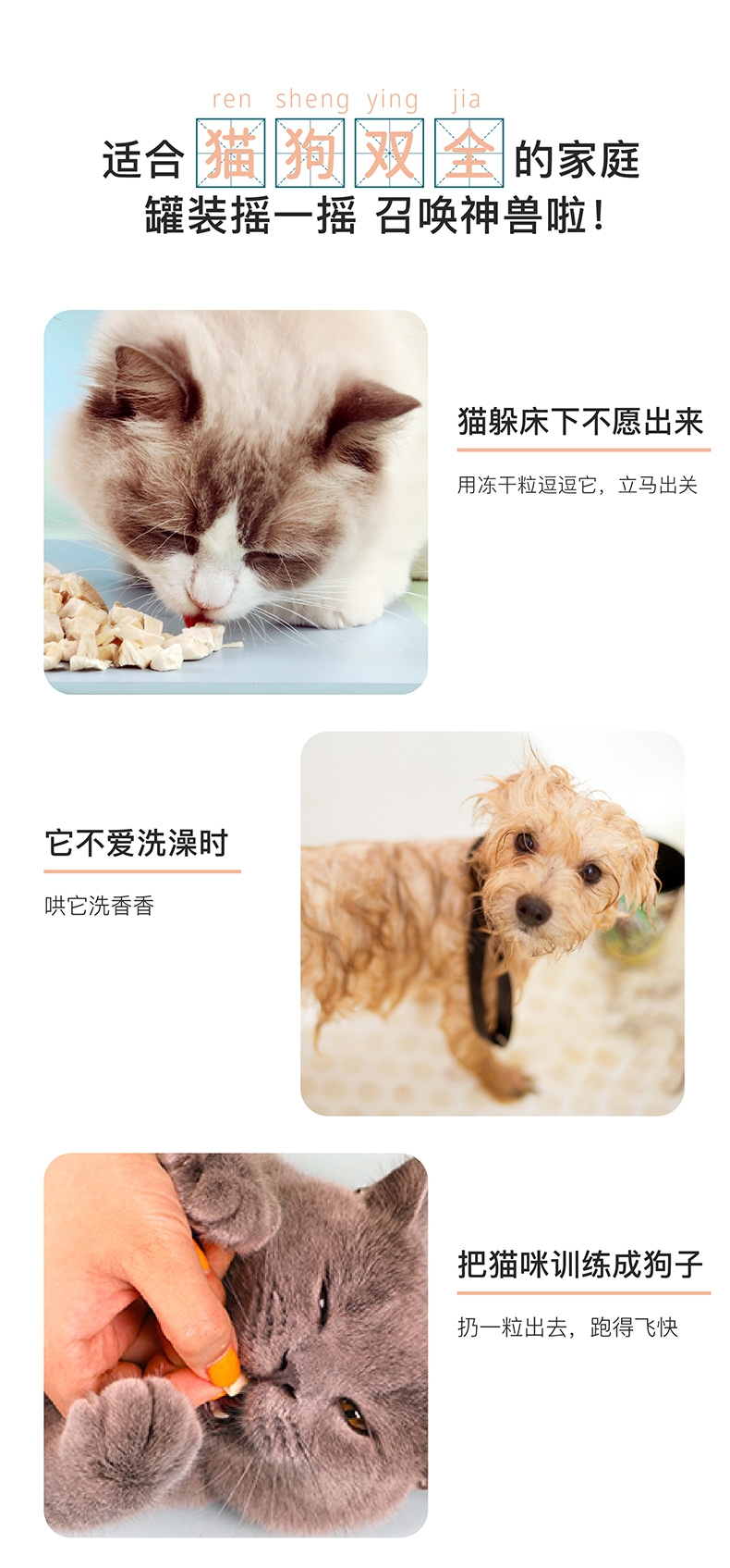 怡亲 冻干金枪鱼猫狗零食 90g 纯肉无添加  易消化