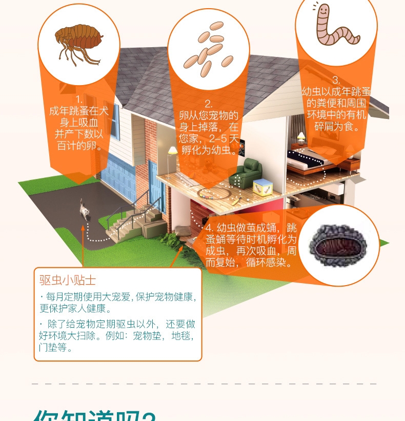 大宠爱 犬猫内外同驱 驱虫滴剂 2.5kg以下犬猫适用 15mg*3支盒装/3个月剂量  美国进口  