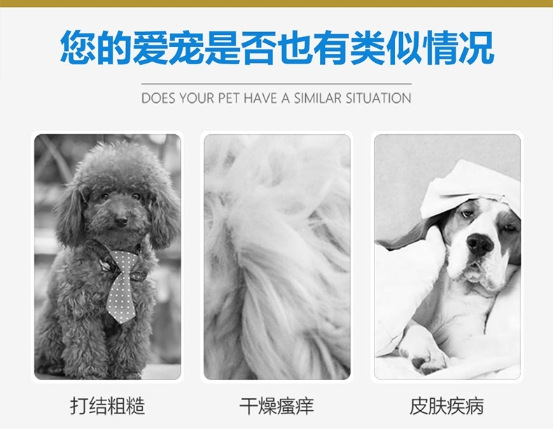 绝魅 超效亮白500ML 白色毛犬专用沐浴露 栀子花香