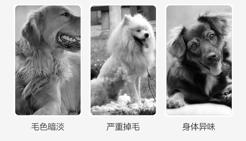 绝魅 超效亮白500ML 白色毛犬专用沐浴露 栀子花香