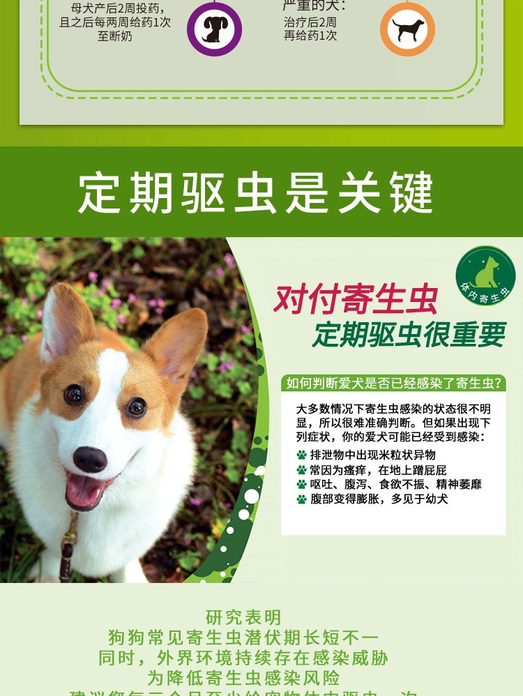 拜宠清 犬用体内驱虫 口服  单片装/可三个月喂一次  德国进口