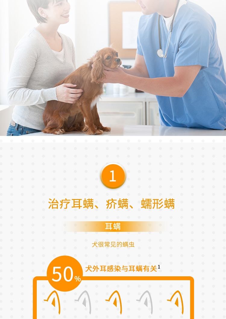爱沃克 犬用内外同驱 驱虫滴剂 适用10-25kg犬 3支整盒装/3个月剂量 德国进口
