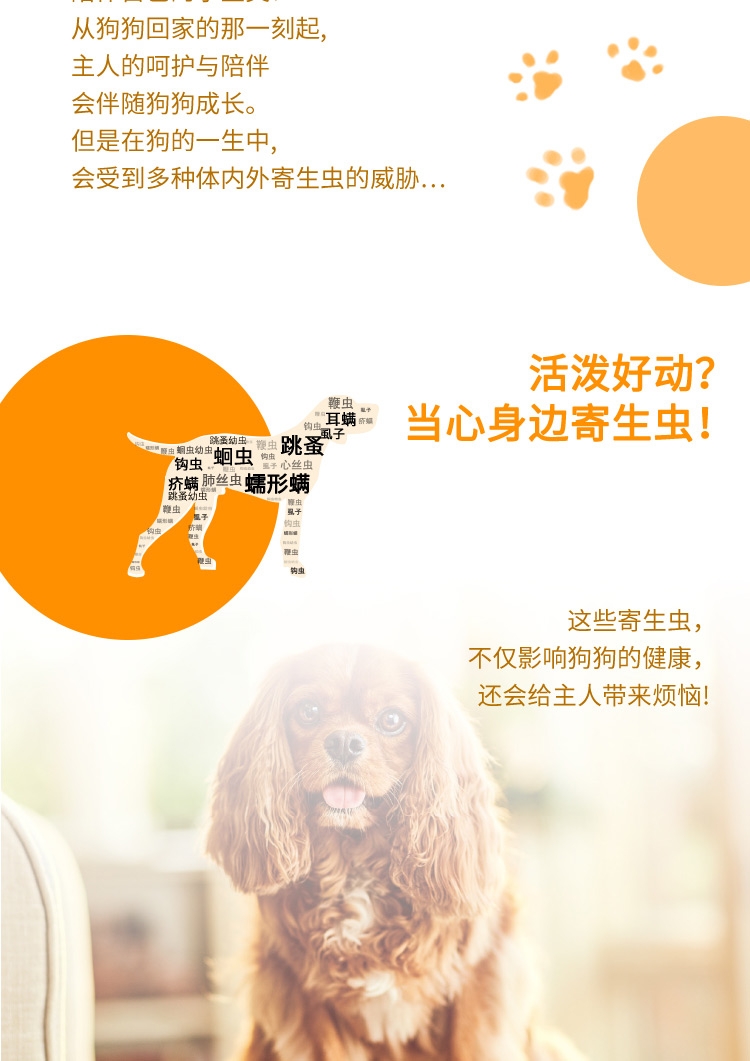 爱沃克 犬用内外同驱 驱虫滴剂 适用10-25kg犬 3支整盒装/3个月剂量 德国进口