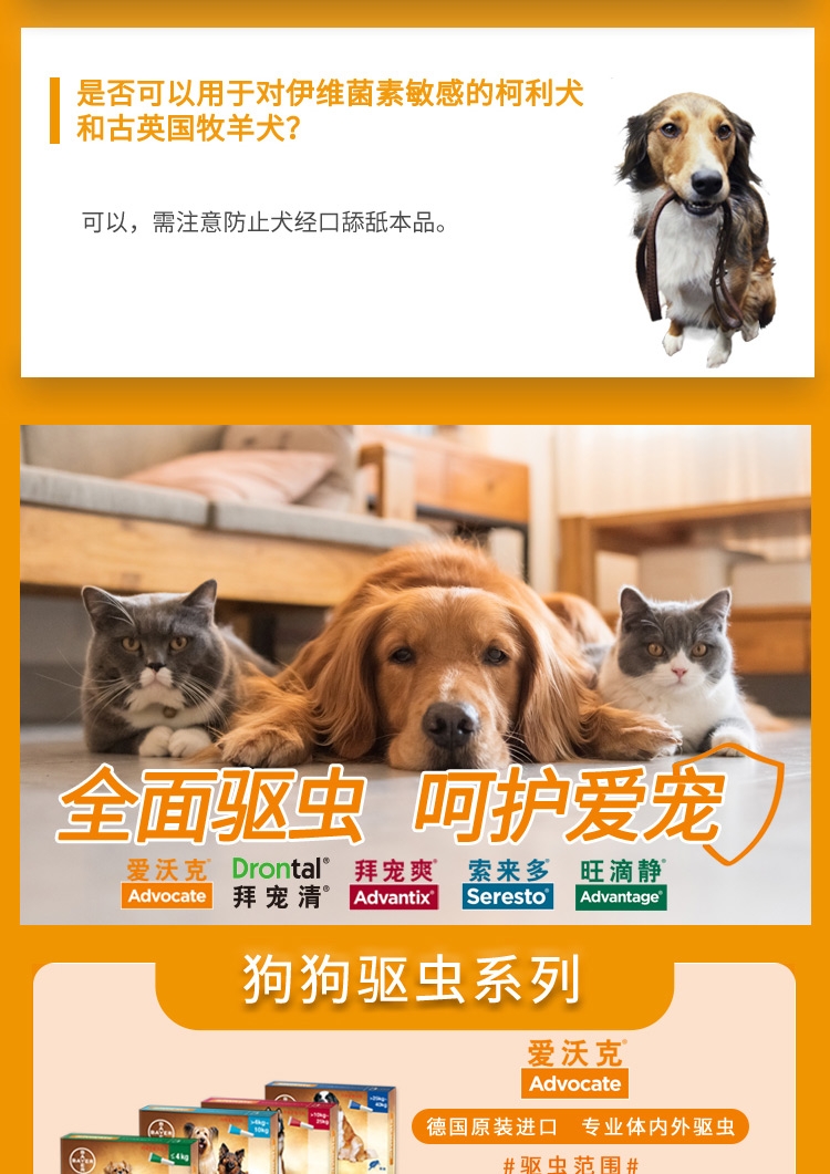 爱沃克 犬用内外同驱 驱虫滴剂 适用10-25kg犬 3支整盒装/3个月剂量 德国进口