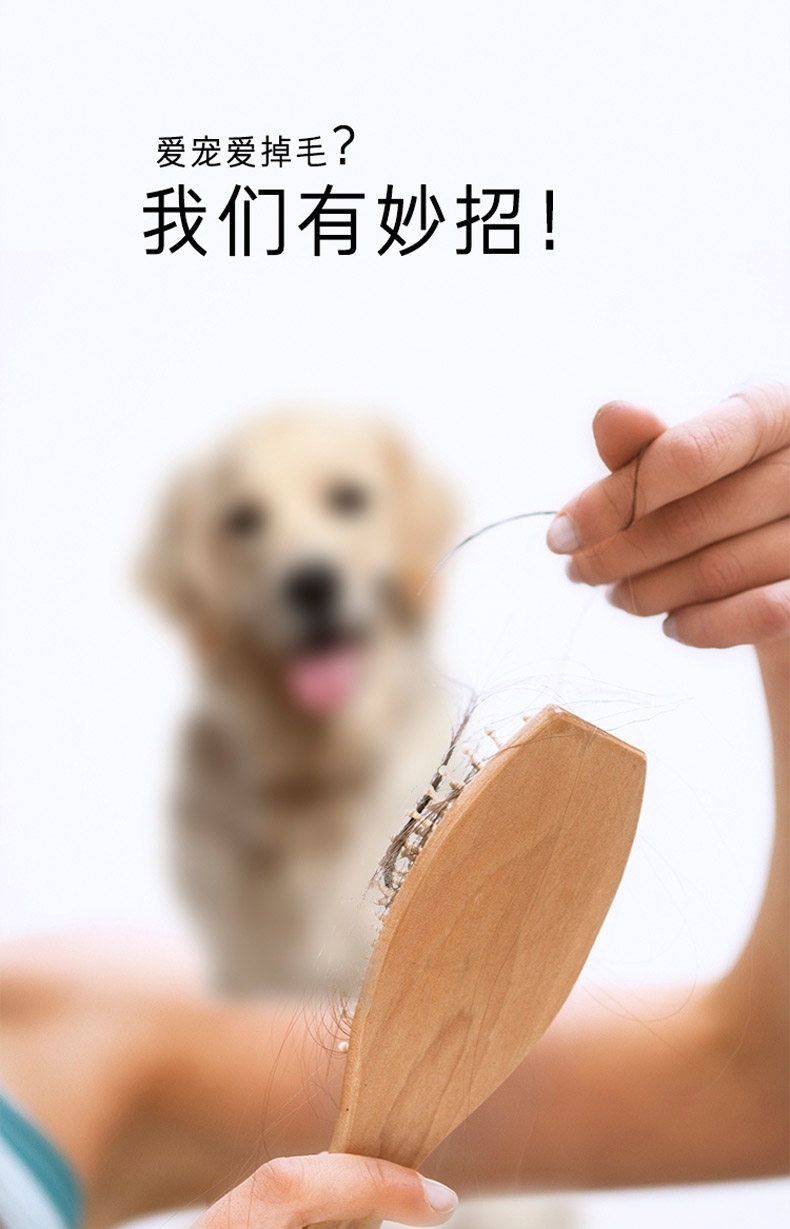 毛妈妈 宠物美宠器美容 多功能一体宠物清洁