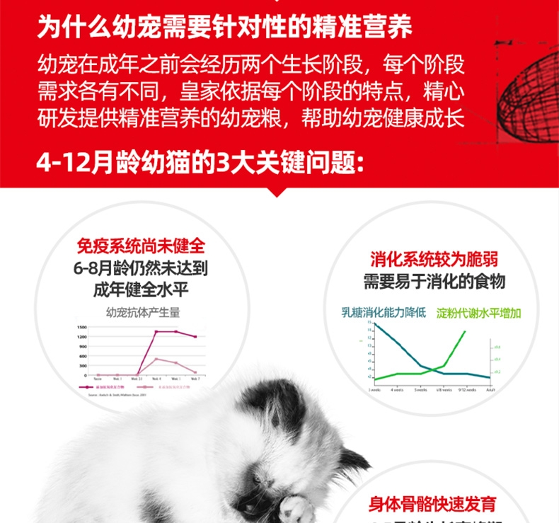 法国皇家Royal Canin 孕猫及12个月以下幼猫粮  2kg K36