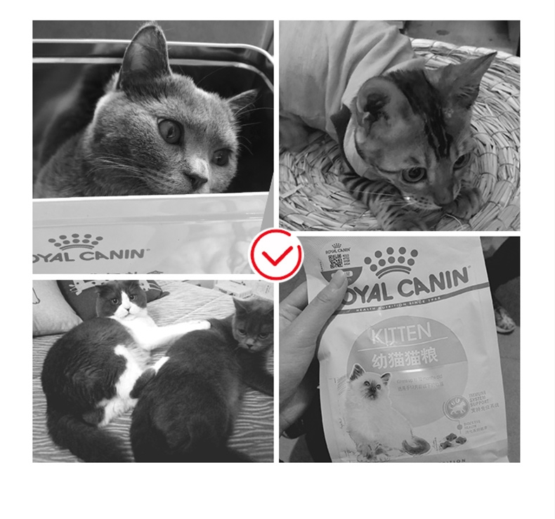 法国皇家Royal Canin 孕猫及12个月以下幼猫粮  2kg K36