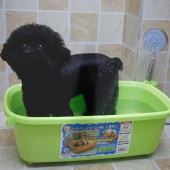 爱丽思IRIS 宠物浴盆  小型犬洗澡盆